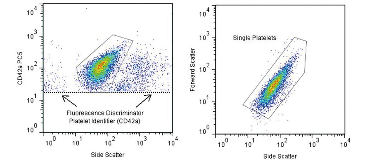 Platelets In Health And Disease - Microscopy Australia