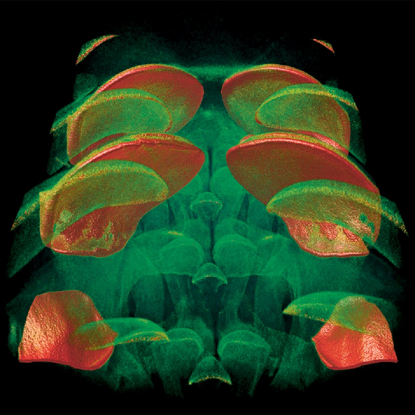 Microscopes & Experts - Microscopy Australia