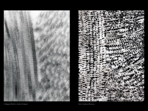 Micrograph of collagen fibrils taken by Anne Simpson, alongside 'Skin' by Joshua Bonson