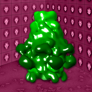 Cryo-TEM image of a bioinsecticide protein