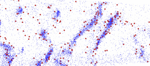 Hydrogen atoms (red) accumulating at dislocations