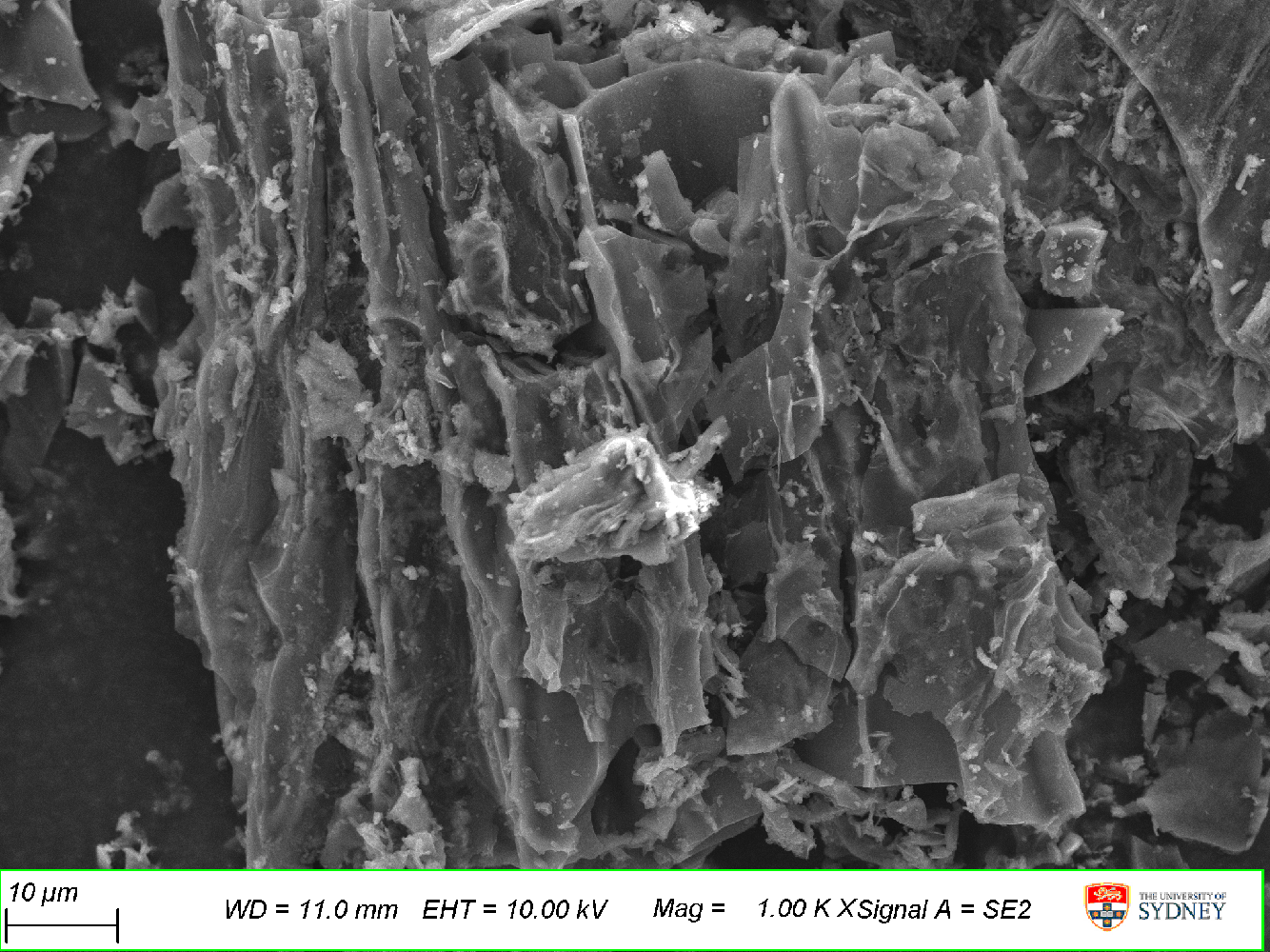 Scanning electron micrograph of durian aerogel side wall