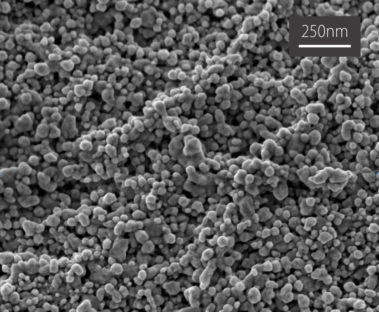 New fabrics that kill bacteria for safer hospitals Microscopy Australia