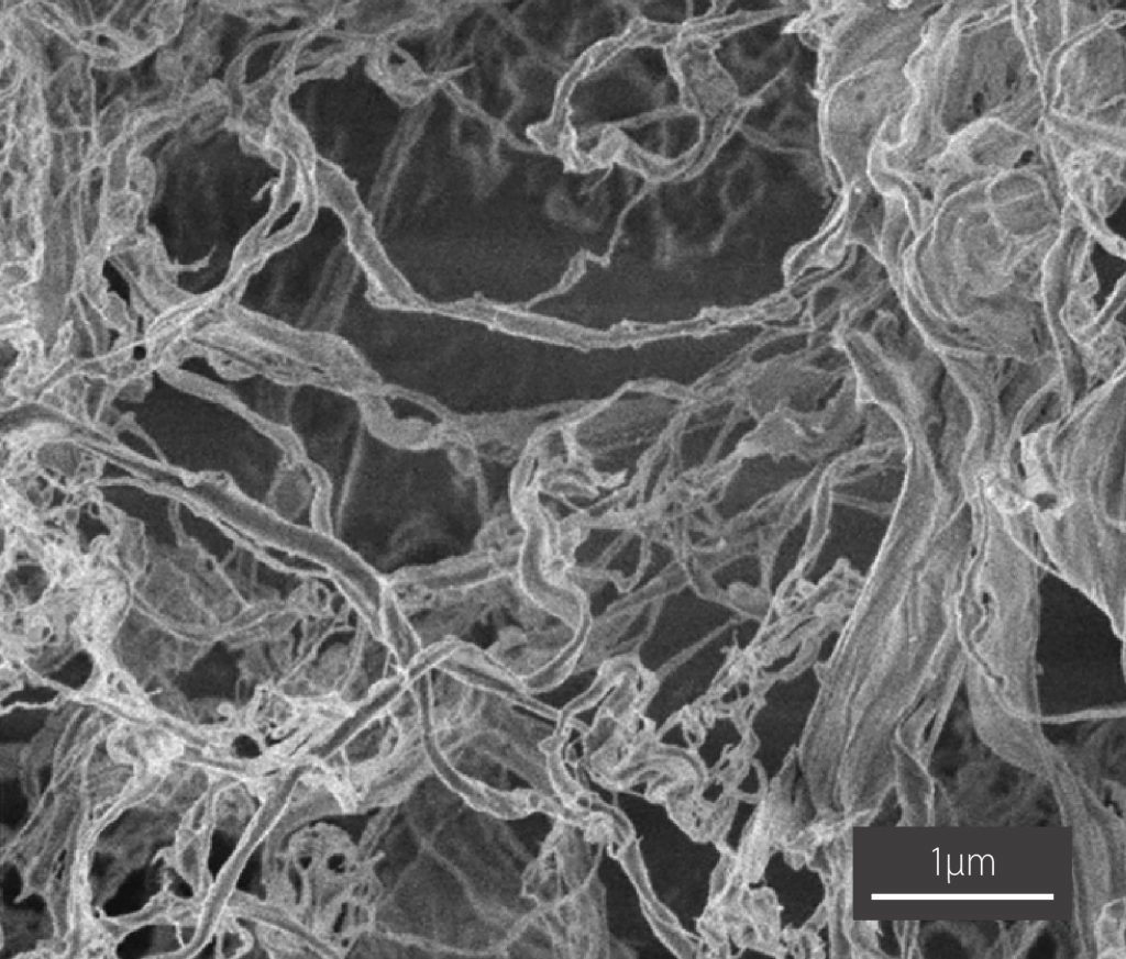 Green carbon nanofibres - Microscopy Australia