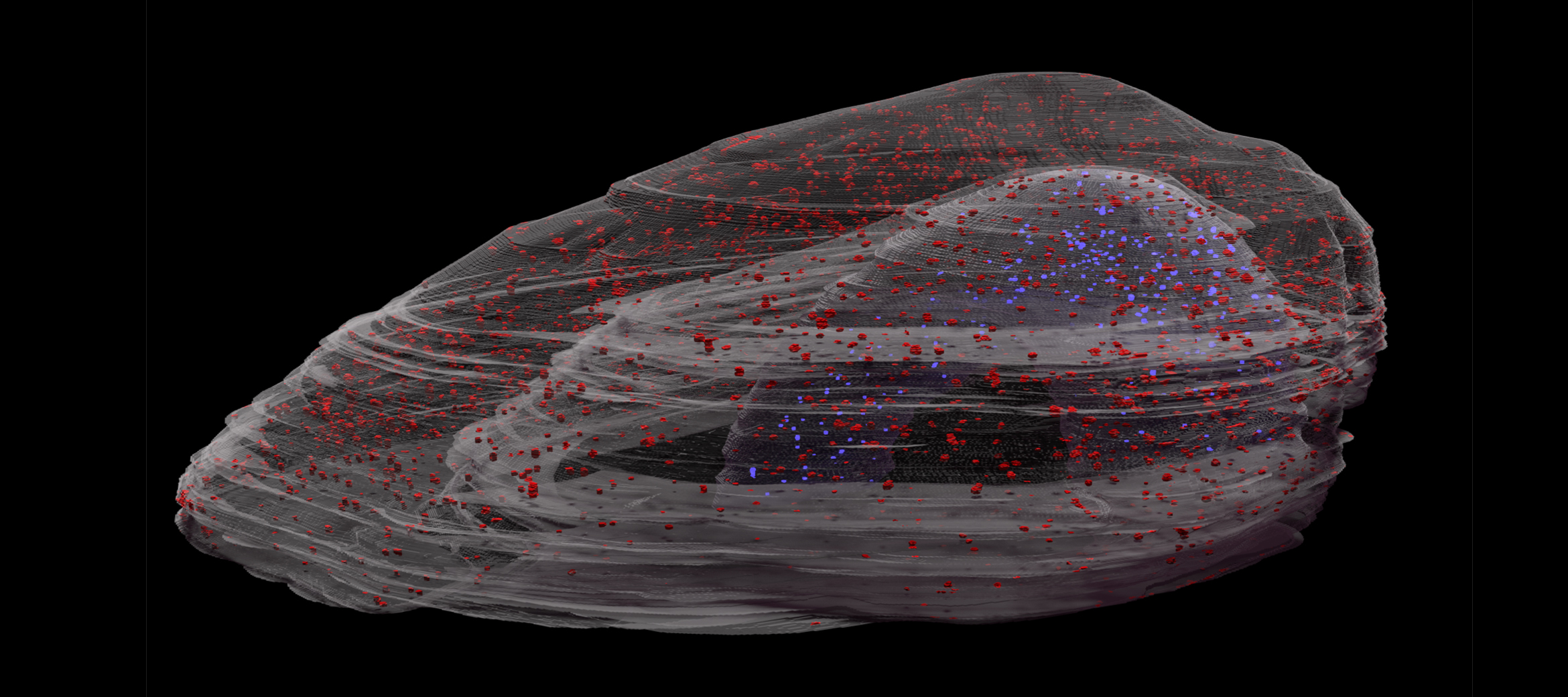 Machine learning for 3D image analysis Microscopy Australia